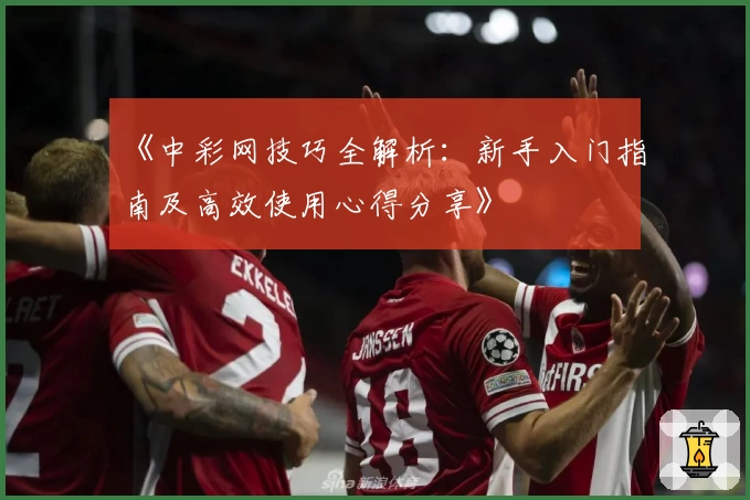 《中彩网技巧全解析：新手入门指南及高效使用心得分享》