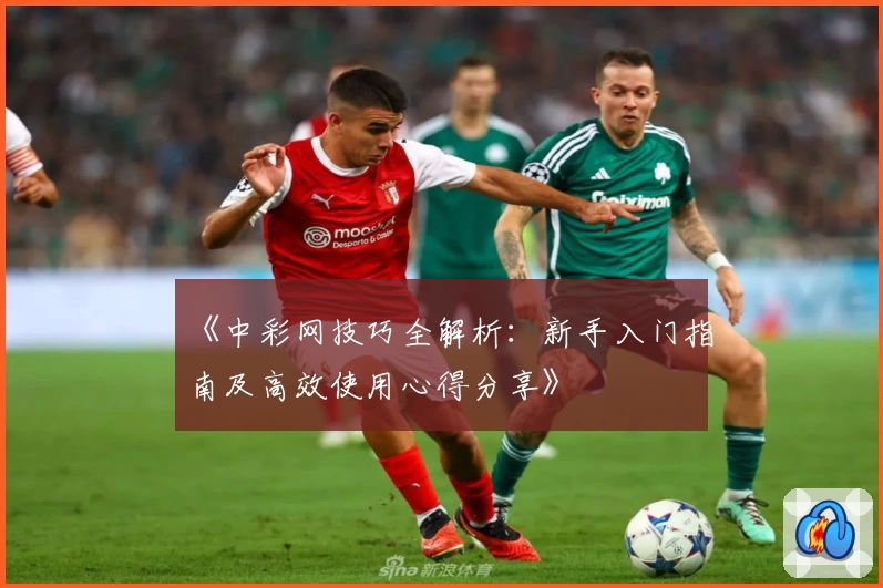 《中彩网技巧全解析：新手入门指南及高效使用心得分享》