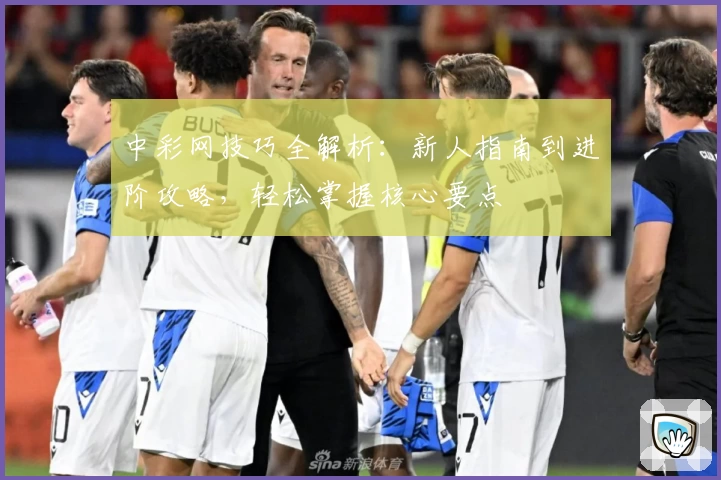 中彩网技巧全解析:新人指南到进阶攻略,轻松掌握核心要点
