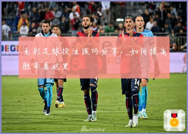 竞彩足球投注技巧分享，如何提高胜率看这里
