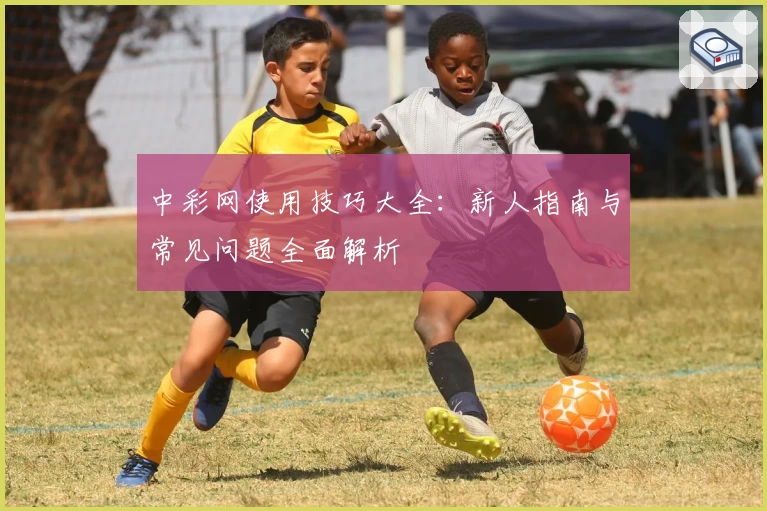 中彩网使用技巧大全：新人指南与常见问题全面解析