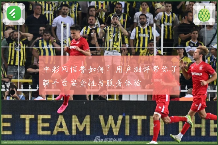 中彩网信誉如何？用户测评带你了解平台安全性与服务体验