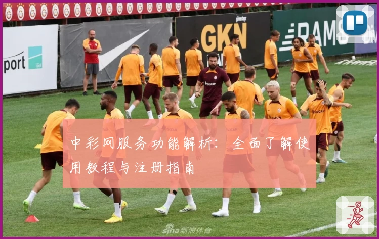 中彩网服务功能解析：全面了解使用教程与注册指南